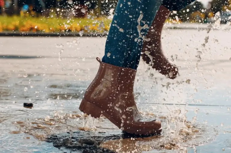 waterproof phone case autumn rain