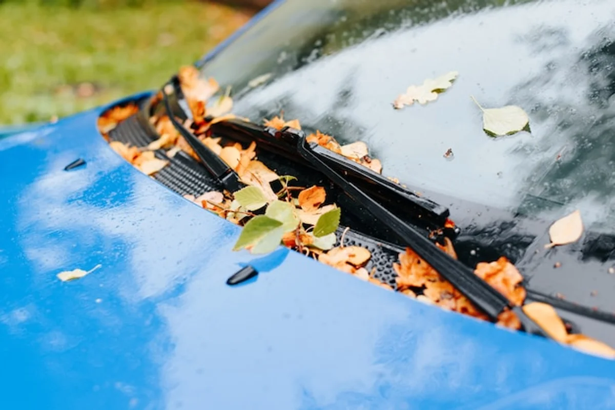 car windshield wipers autumn rain close up
