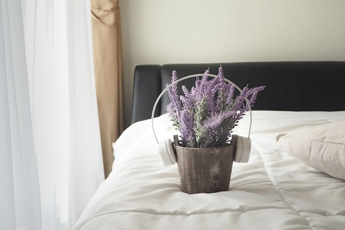 lavender sleep hotel room natural