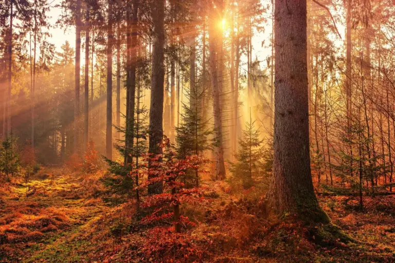 autumn career goals motivation depletion
