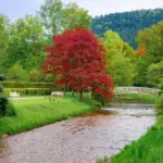 europe autumn wellness retreat forest