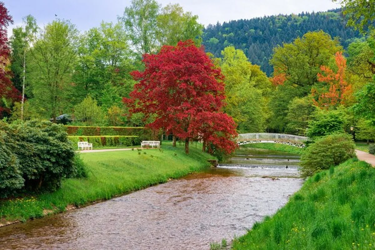 europe autumn wellness retreat forest