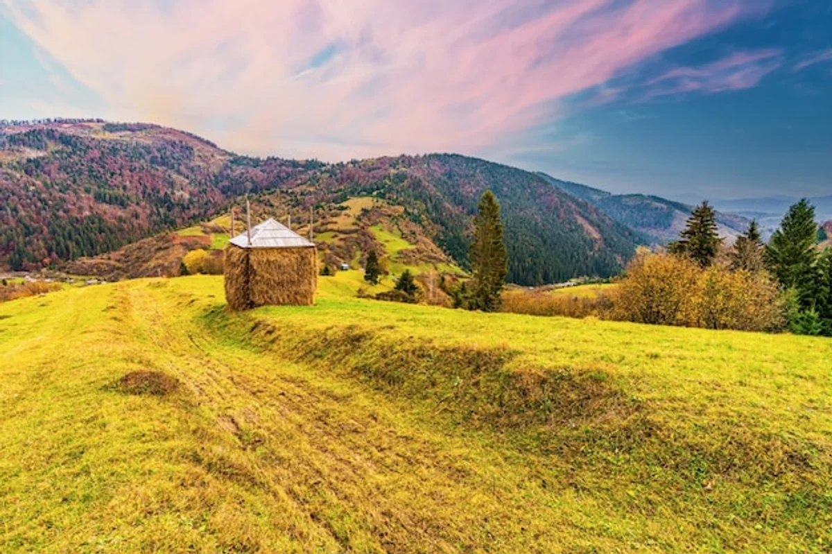 colorful autumn garden in Czech Republic with pumpkins and handmade decorations