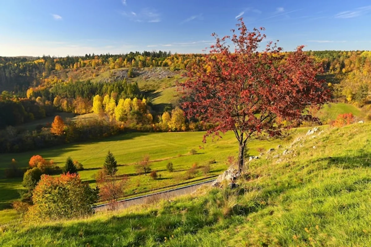 mobile device privacy settings czech user autumn 2025 update