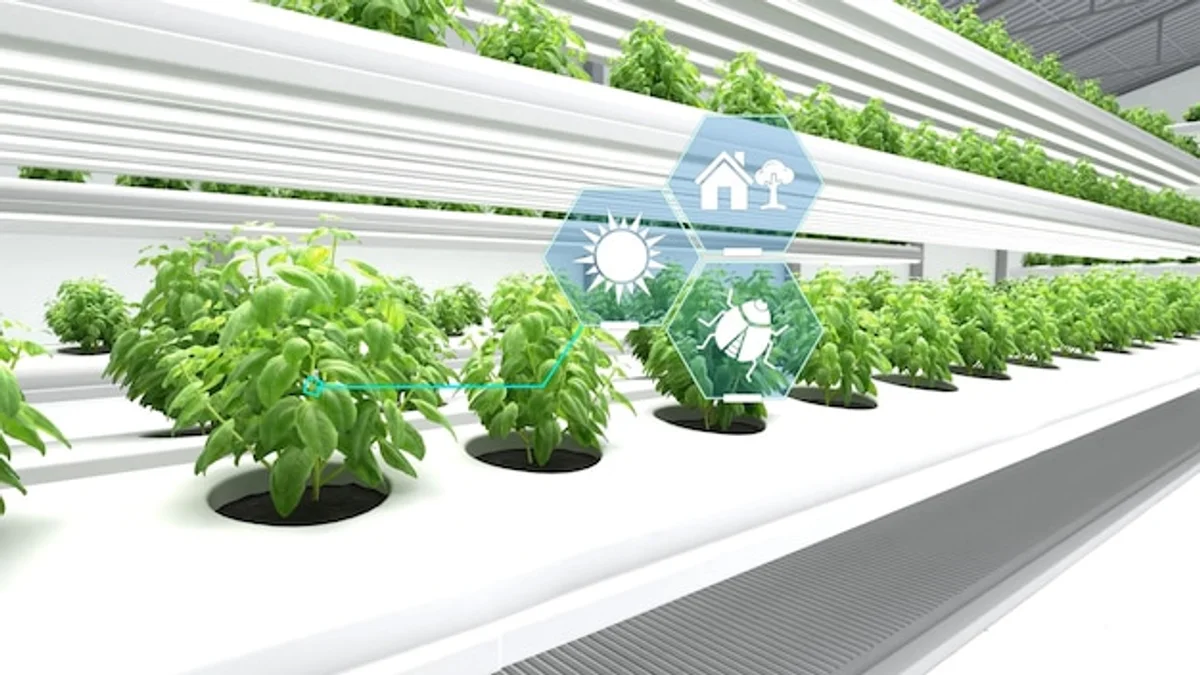 frost protection smart sensor in winter garden