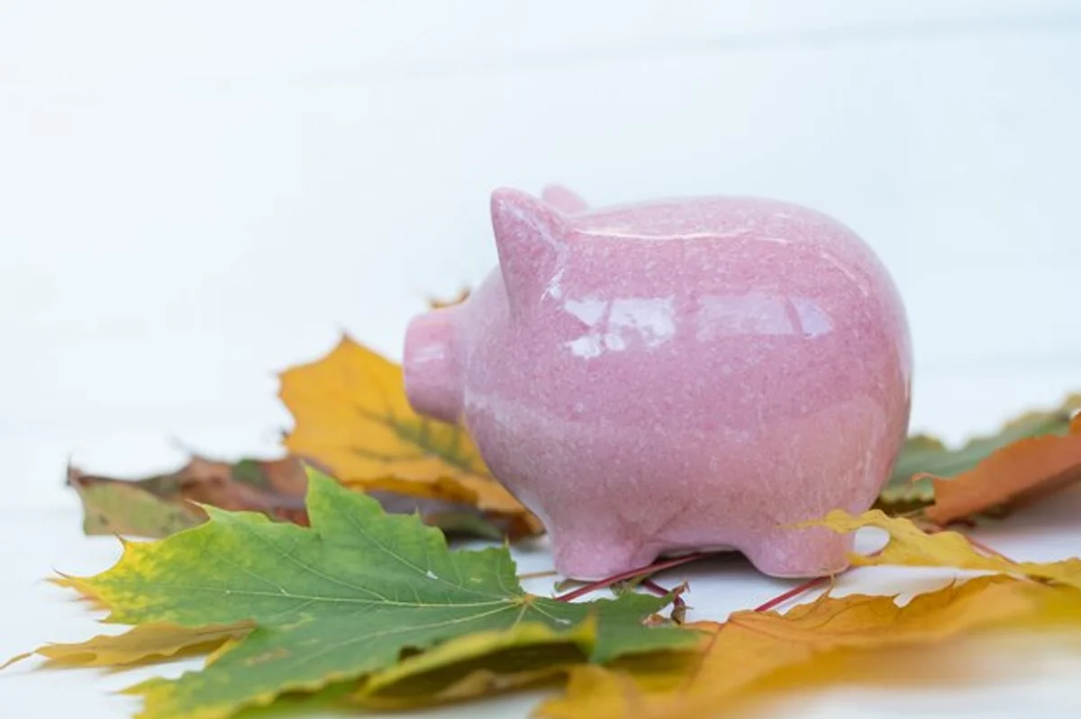autumn saving money piggy bank