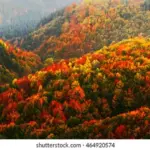 autumn smartphone photography Czech Republic vibrant colors