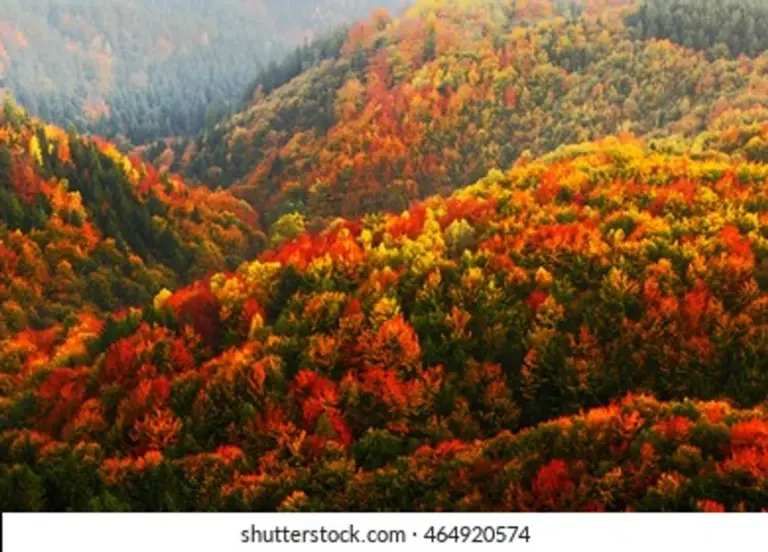autumn smartphone photography Czech Republic vibrant colors