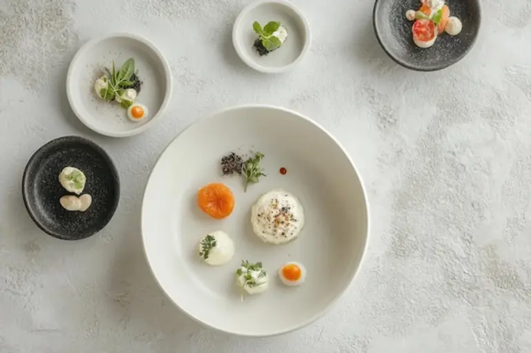 gourmet small portion minimalism dining