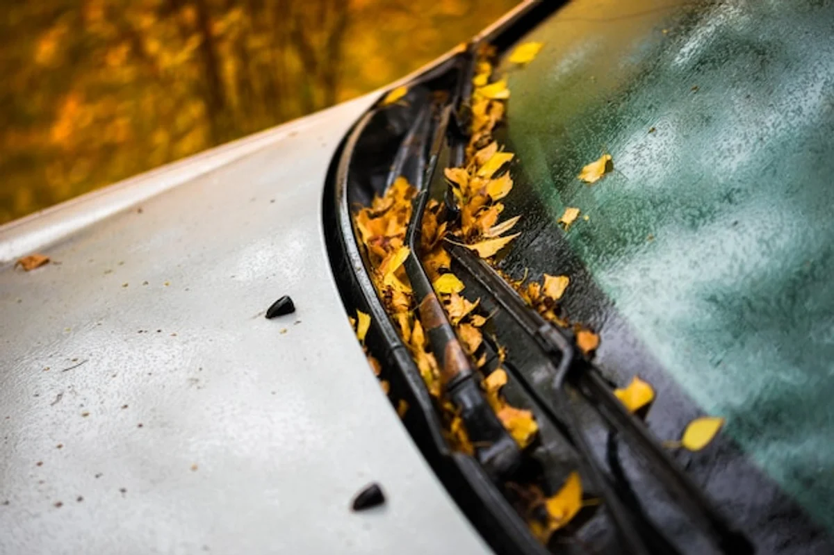 car windshield wipers autumn rain close up
