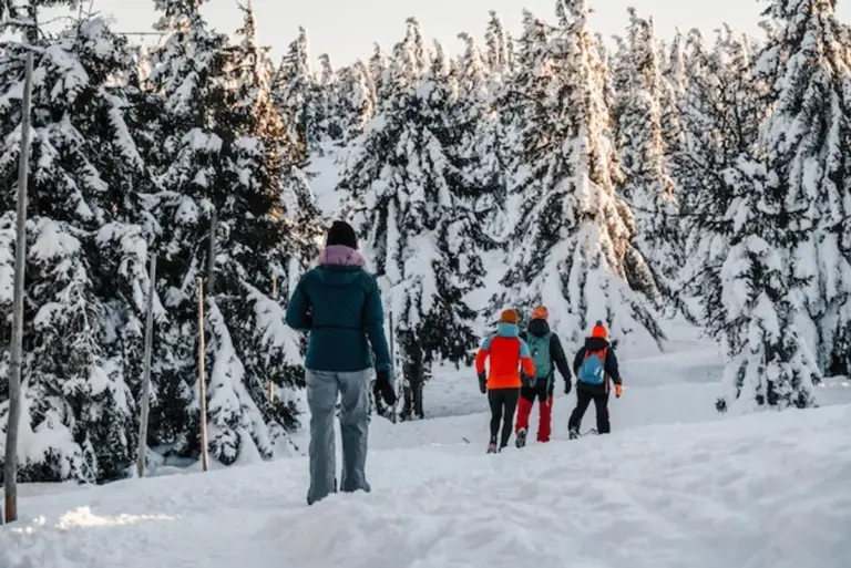 cold weather cycling autumn outfit forest Czech road