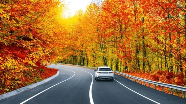 car tire change autumn Czech Republic rain frost