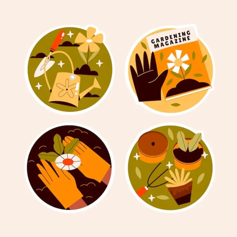 autumn energy healthy food smile table