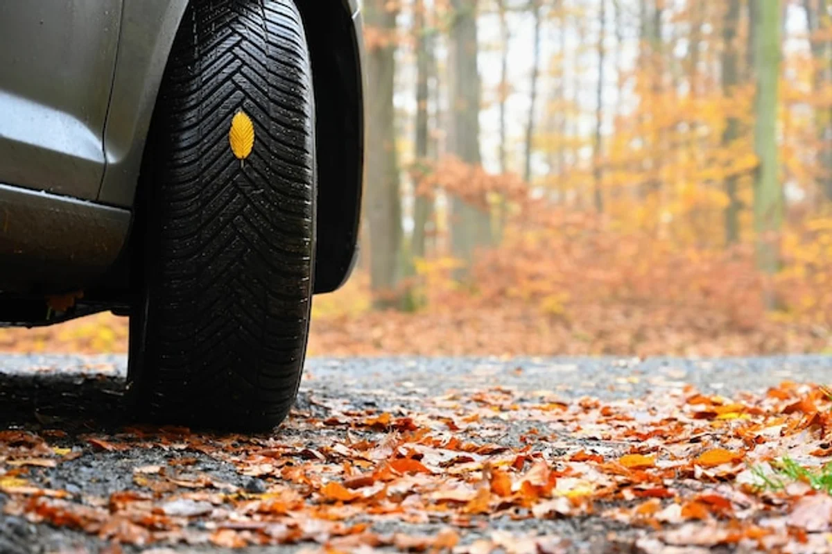 car tire change autumn leaves road