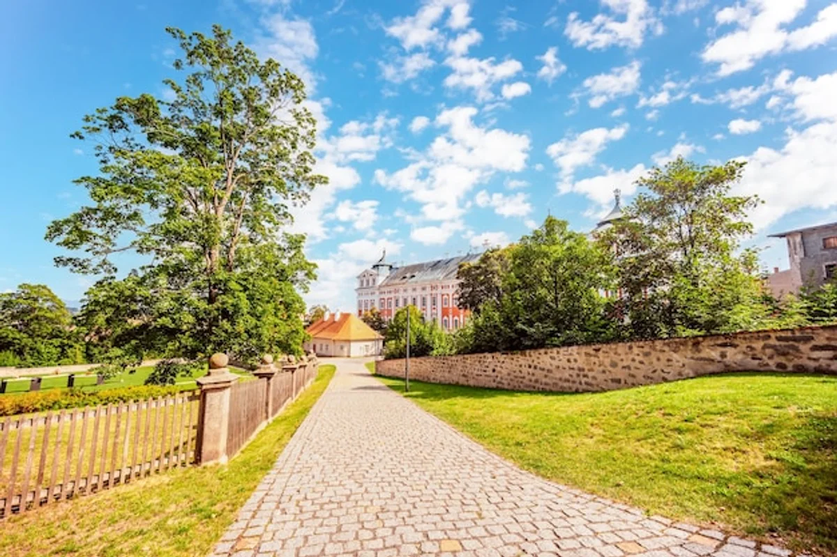 forest bathing in Czech Republic