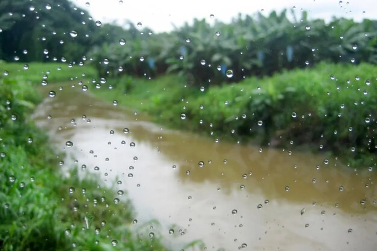 car parking in heavy rain near trees Czech city