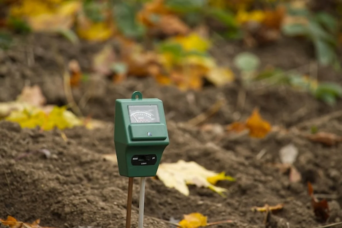 garden sensor autumn leaves close-up