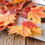 autumn career planning workspace
