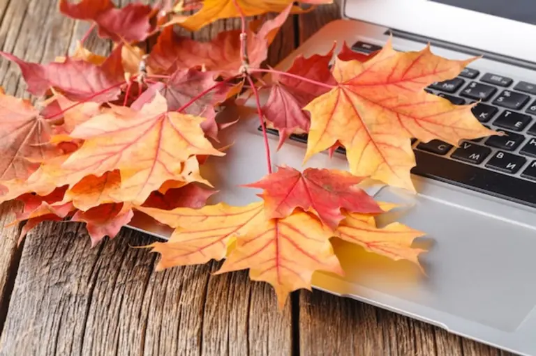 autumn career planning workspace