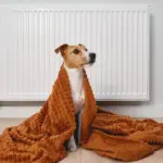 energy saving at home autumn heating bills czech