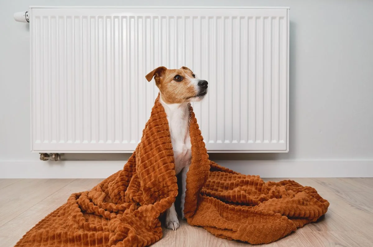 energy saving at home autumn heating bills czech