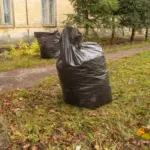 autumn leaves recycling garden Czech backyard