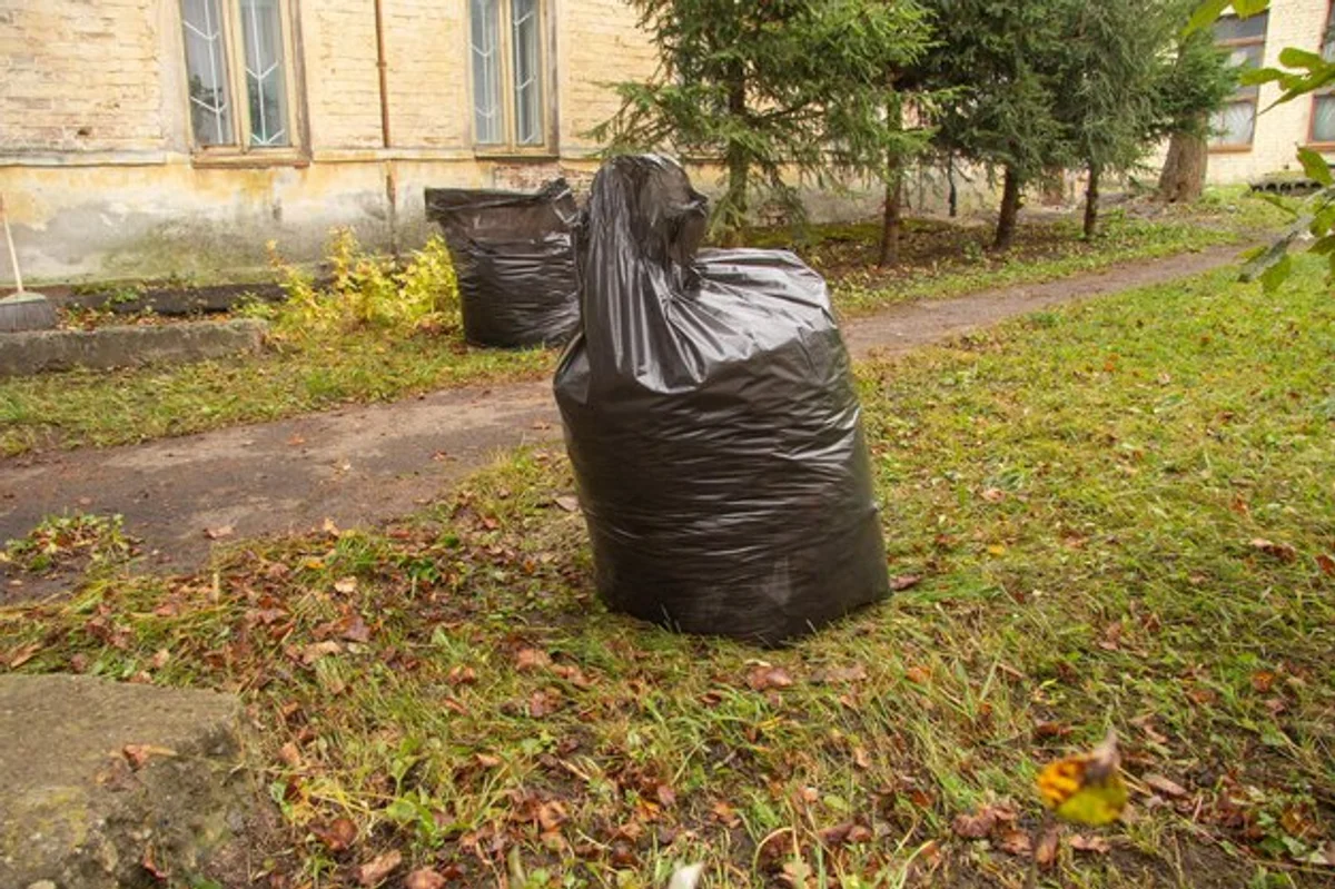 autumn leaves recycling garden Czech backyard