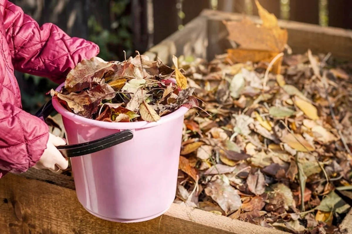autumn leaves garden composting