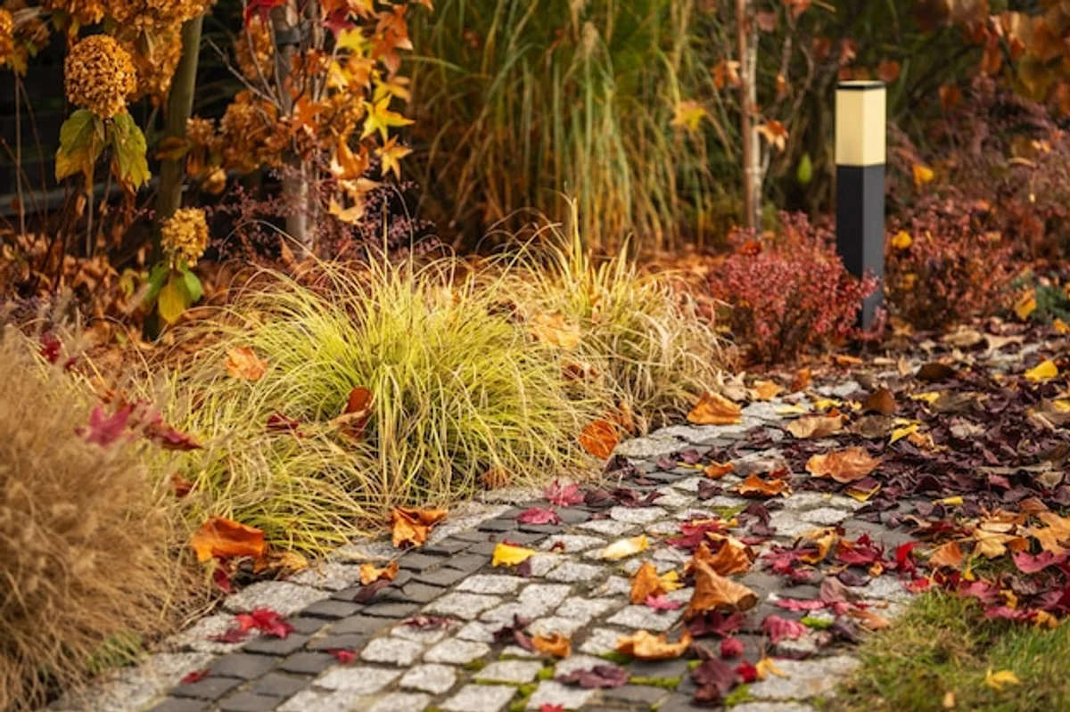 mulching garden with autumn leaves