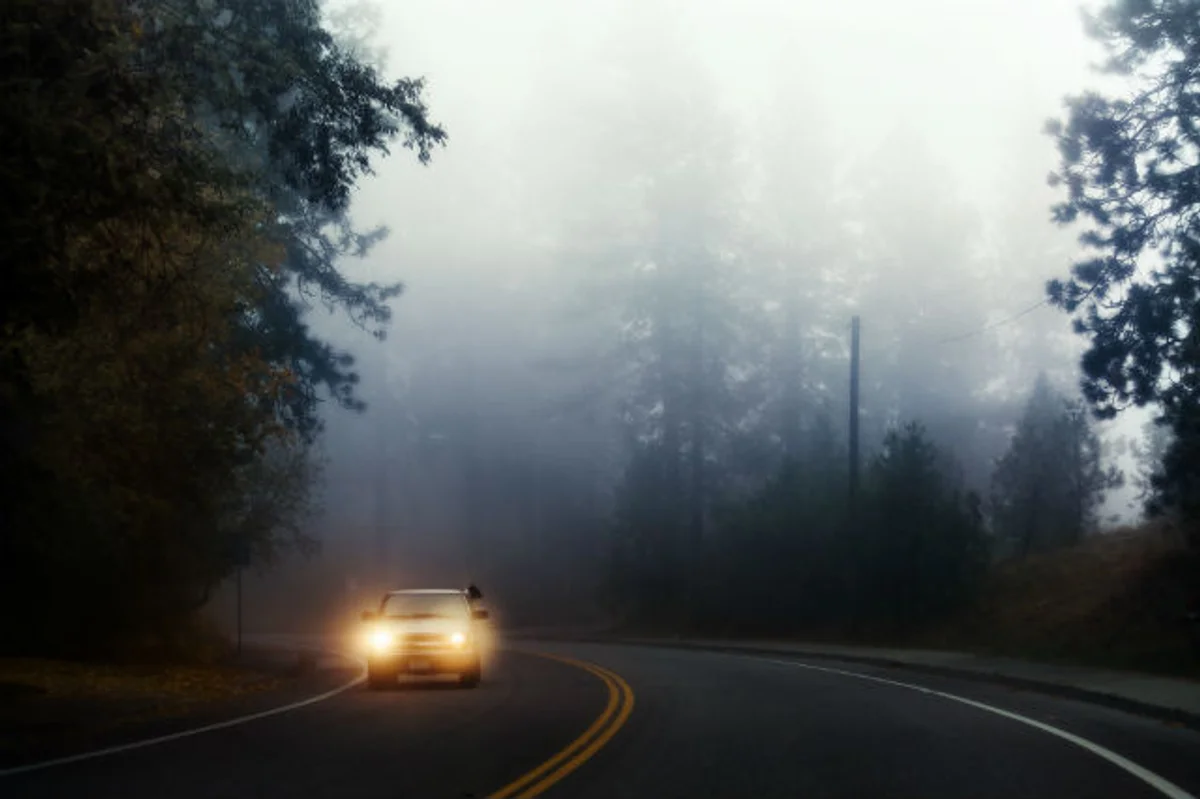 dangerous autumn fog driving psychology
