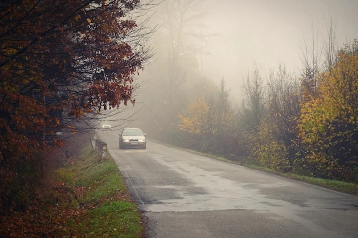 foggy autumn road dangerous driving