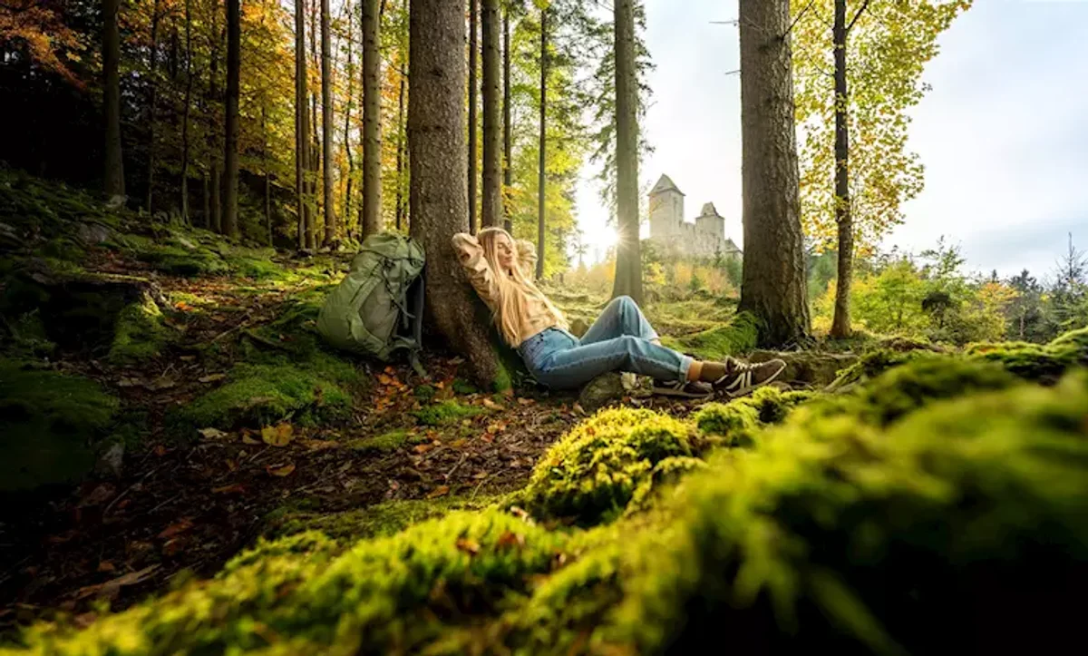 Czech autumn forest hidden trail solitude