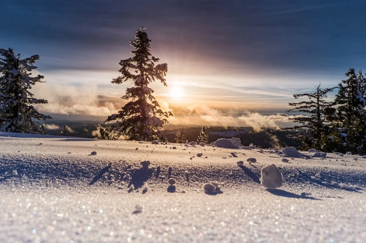 winter motivation czech people outdoors