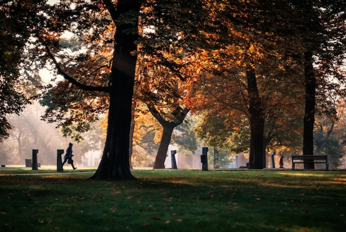 Czech autumn festival people colorful lights