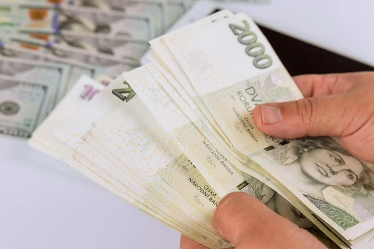 czech man counting coins at home