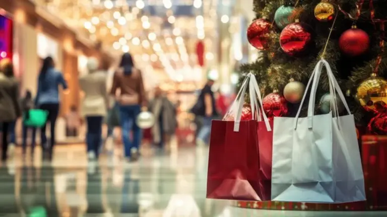 christmas online payment fraud prevention