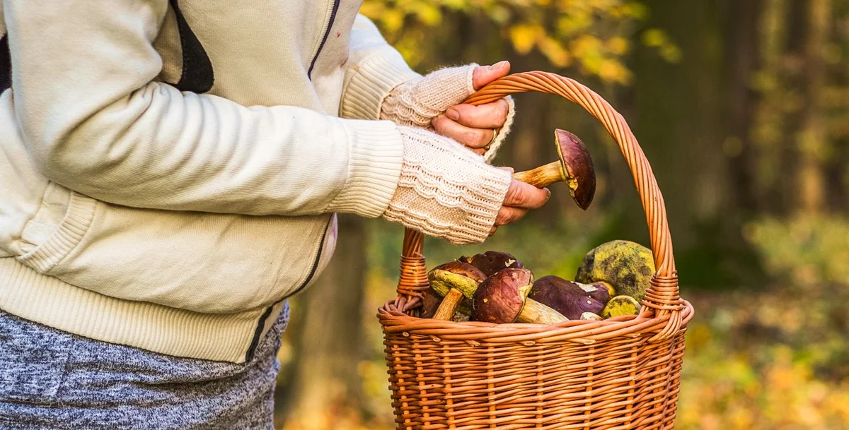 woman inspecting mushrooms at market czech