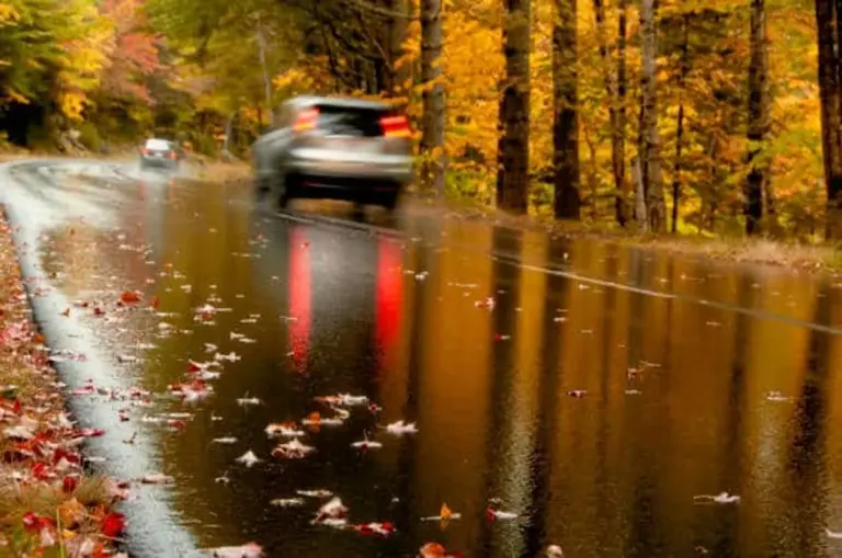 autumn rain car preparation czech road