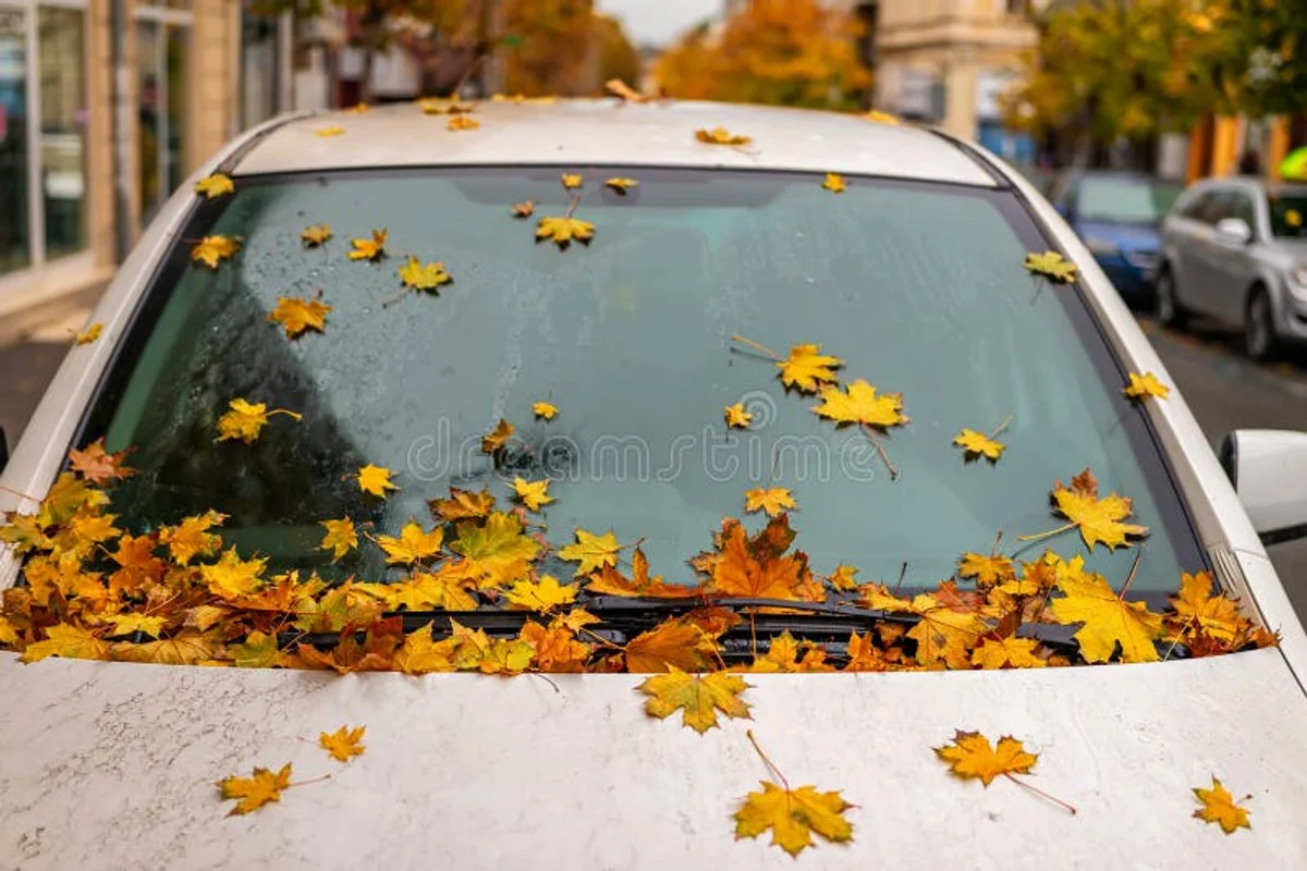 autumn rain windshield wipers car czechia