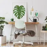 creative indoor plants workspace