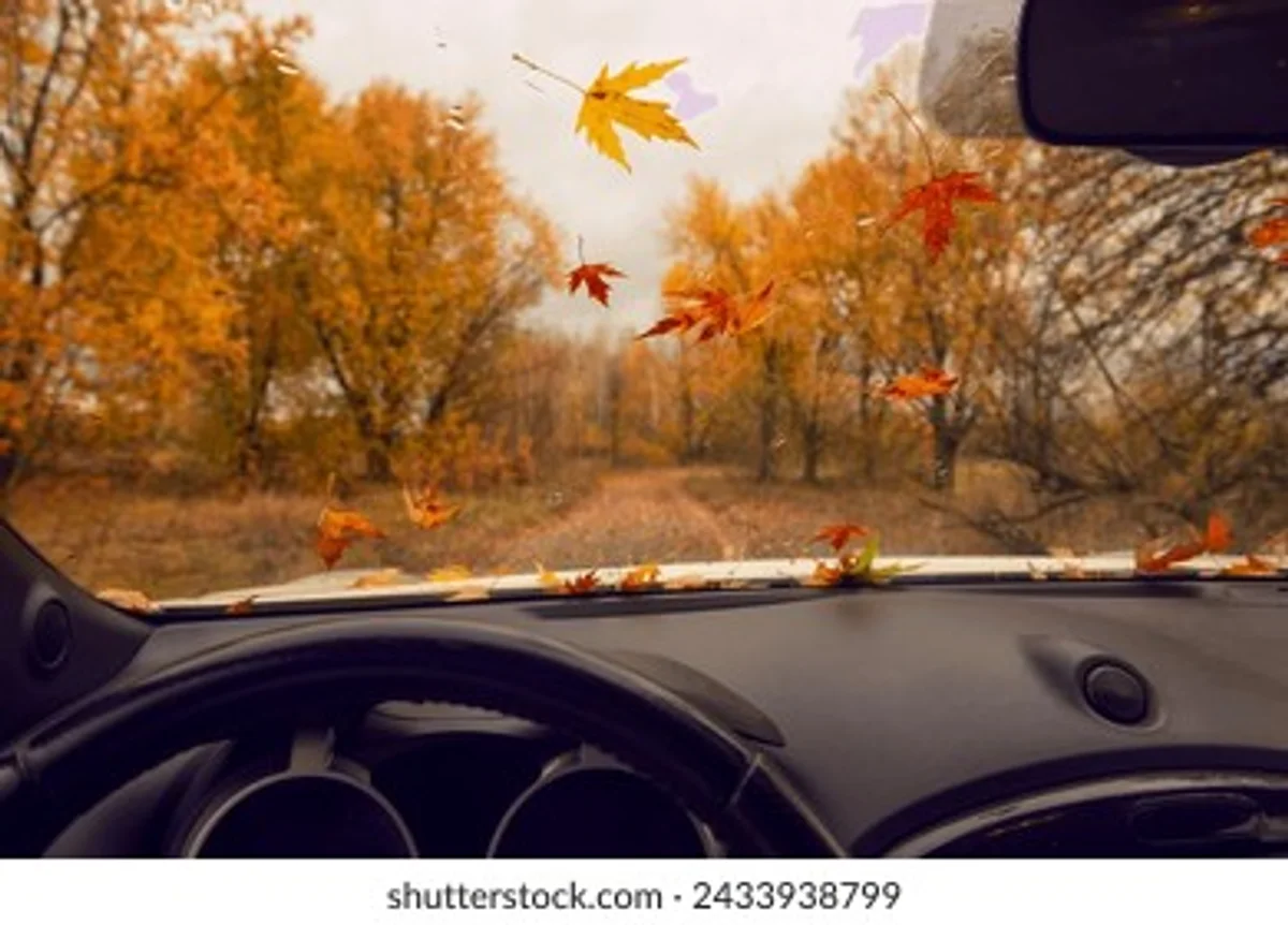 Czech autumn rain windshield car
