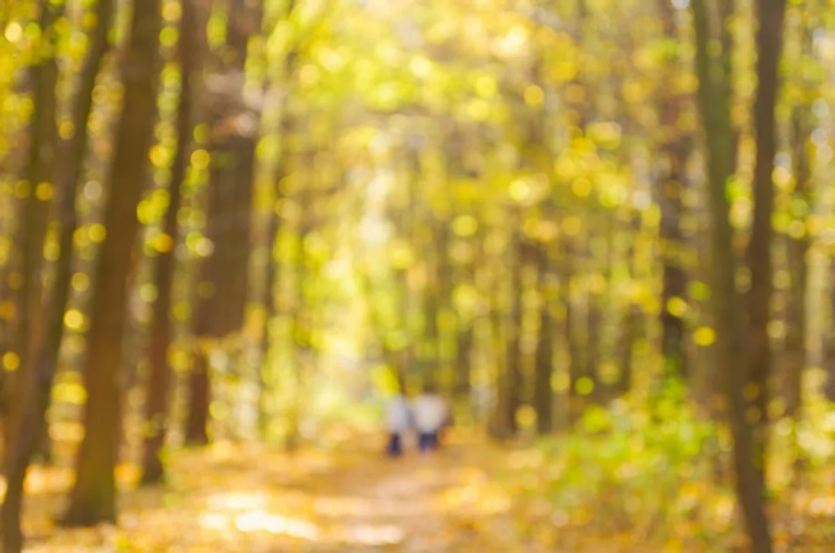 focused person working autumn blurred outdoor background