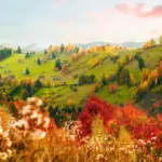 creative autumn leaves collection czech nature