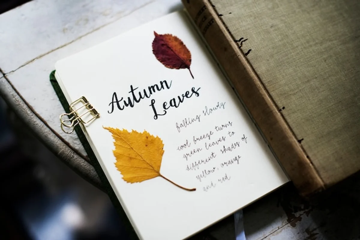 pressed colorful autumn leaves with book and newspaper