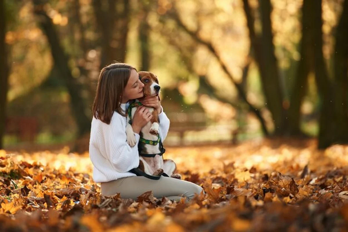 autumn outdoor walk immune system