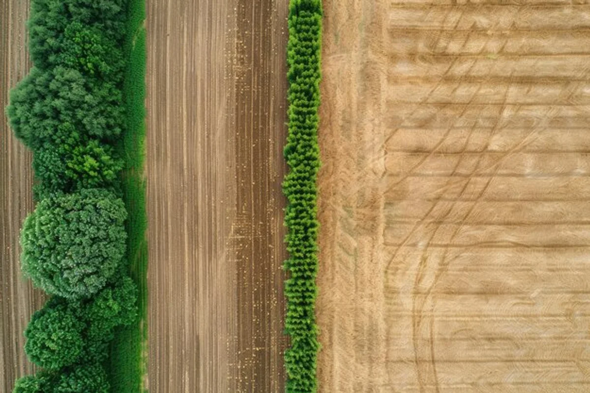 autumn leaves raking garden Czech Republic