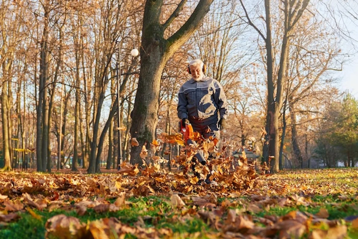 leaf blower autumn cleanup garden Europe