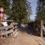 autumn leaves hazard car Czech road