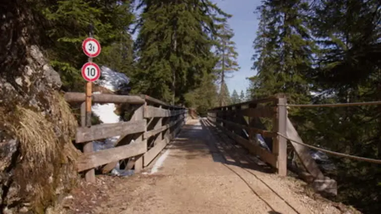 autumn leaves hazard car Czech road