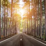 car driving autumn fog Czech highway